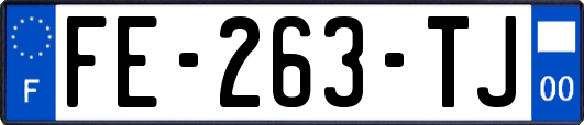 FE-263-TJ