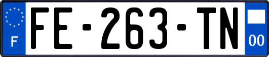 FE-263-TN