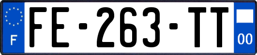 FE-263-TT
