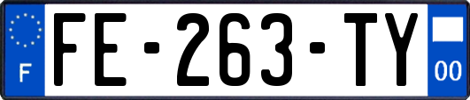 FE-263-TY