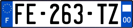 FE-263-TZ