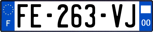 FE-263-VJ