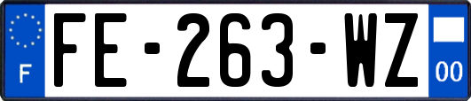 FE-263-WZ