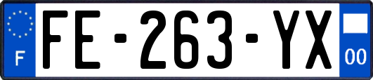 FE-263-YX