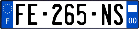 FE-265-NS