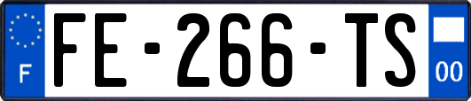 FE-266-TS
