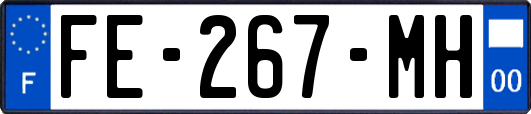 FE-267-MH