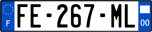 FE-267-ML