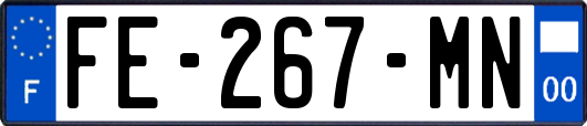 FE-267-MN