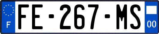 FE-267-MS