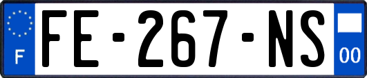 FE-267-NS