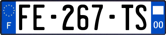 FE-267-TS