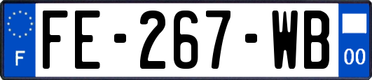 FE-267-WB