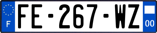 FE-267-WZ