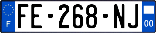 FE-268-NJ