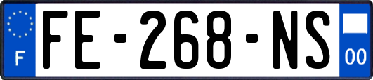 FE-268-NS