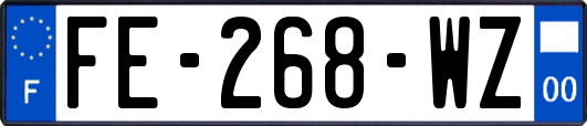 FE-268-WZ