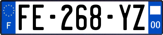 FE-268-YZ