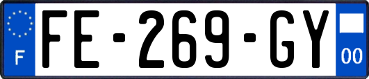 FE-269-GY