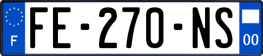 FE-270-NS