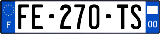 FE-270-TS