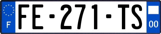 FE-271-TS