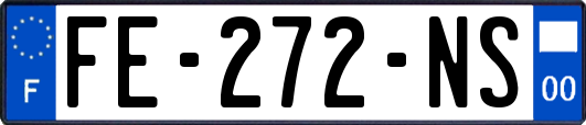 FE-272-NS