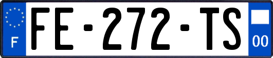FE-272-TS