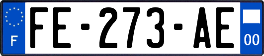 FE-273-AE