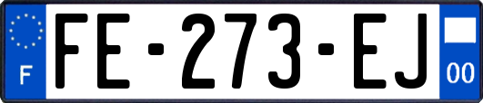 FE-273-EJ