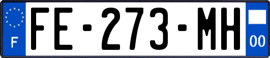 FE-273-MH