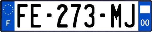 FE-273-MJ