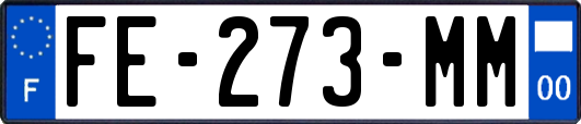 FE-273-MM