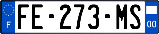 FE-273-MS