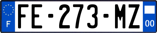 FE-273-MZ