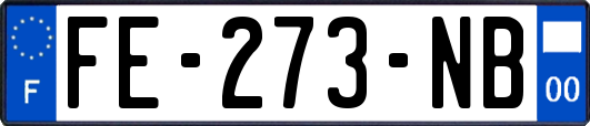 FE-273-NB