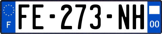 FE-273-NH