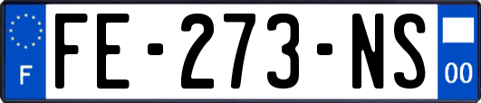 FE-273-NS