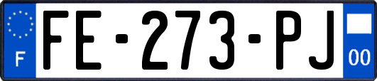 FE-273-PJ