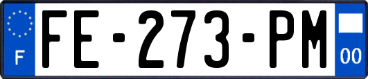 FE-273-PM