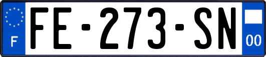 FE-273-SN