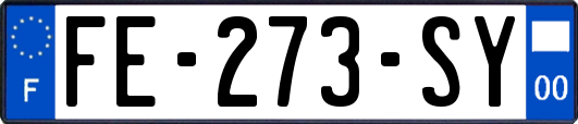 FE-273-SY