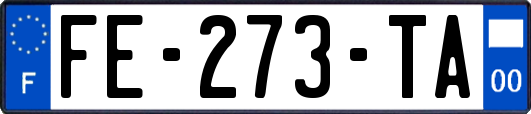 FE-273-TA