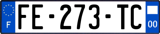 FE-273-TC