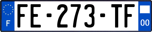 FE-273-TF