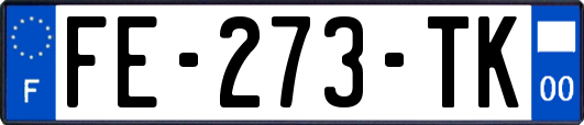 FE-273-TK