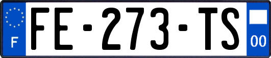 FE-273-TS
