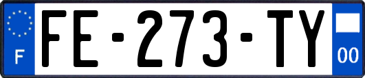 FE-273-TY