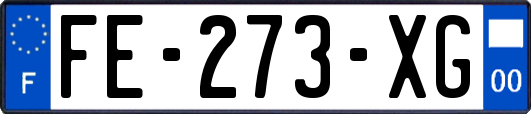 FE-273-XG