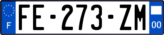 FE-273-ZM